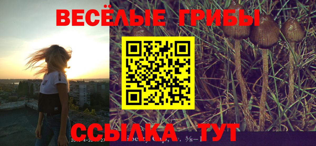 купить наркоту  Псилоцибиновые грибы мицелий  Солнечногорск  Вход с VPN  Галлюциногенные грибы прущие грибы 